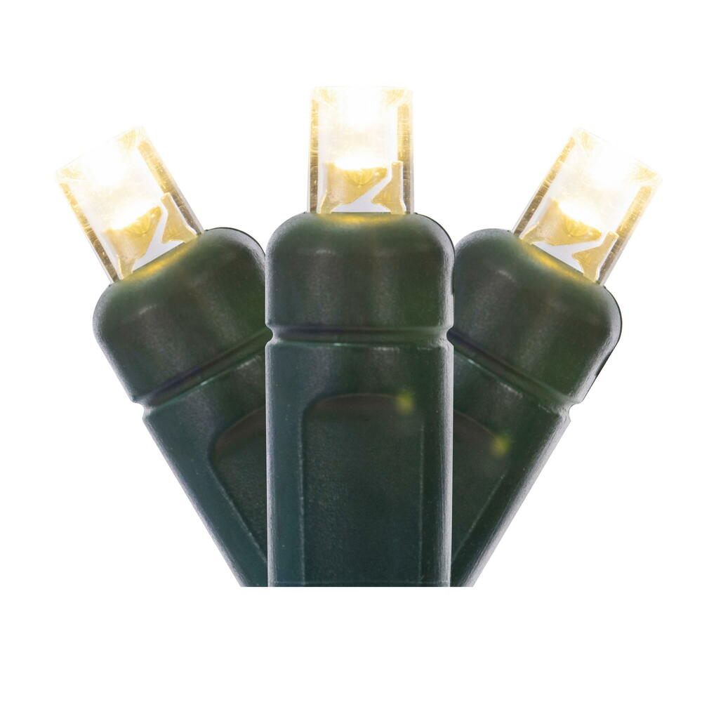 Vickerman Single Mold Wide Angle Green Wire LED Christmas light set