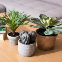 Artificial Greenery