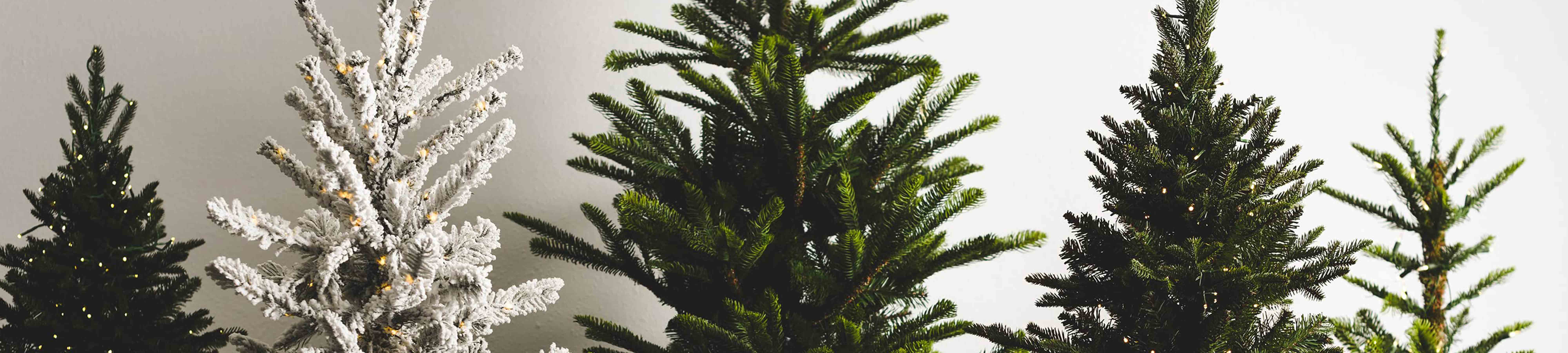 Trees