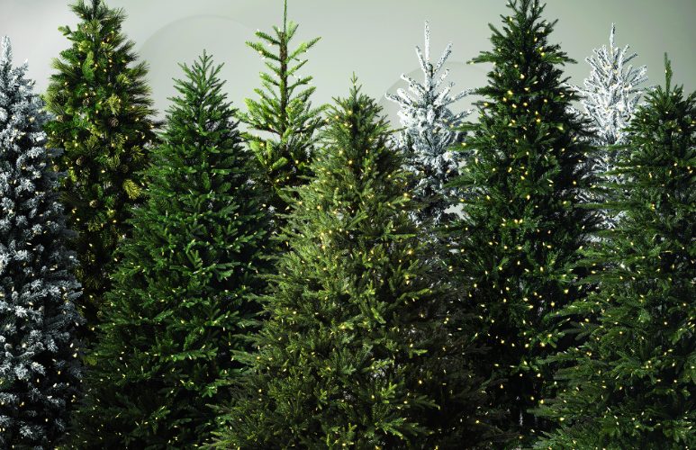 Trees