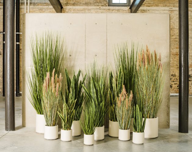 Home Décor