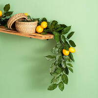 Wreaths & Garlands