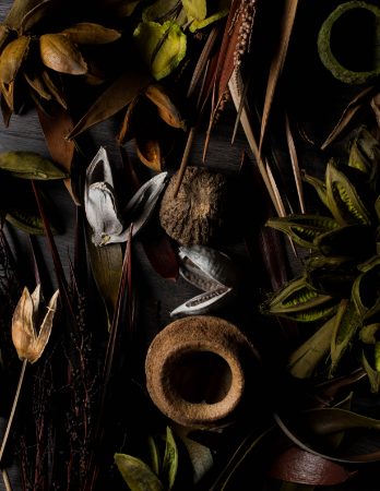 Pods & Wood