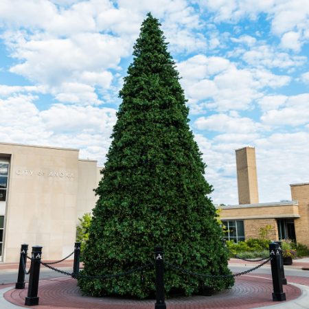 Commercial Trees