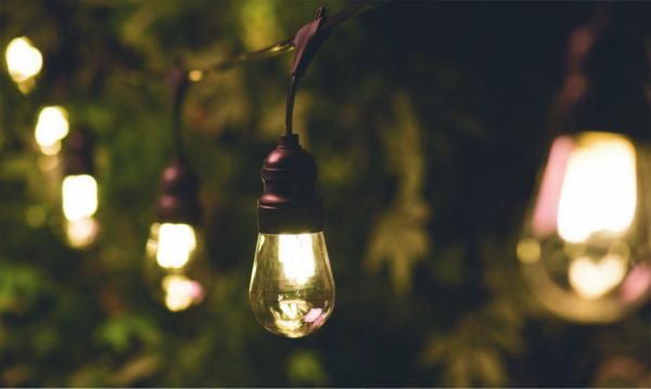 Bulbs & Stringers