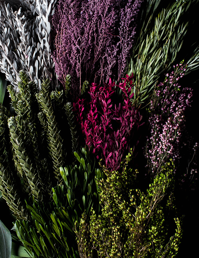 Natural Plants