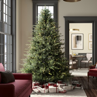 Christmas Trees